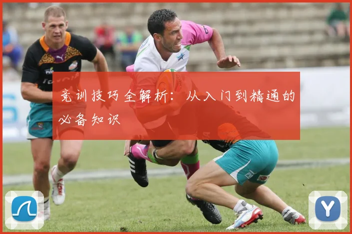 竞训技巧全解析：从入门到精通的必备知识