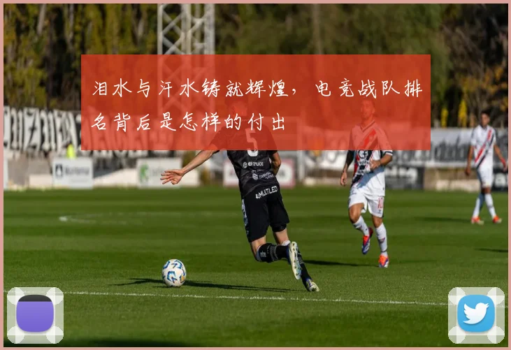 泪水与汗水铸就辉煌，电竞战队排名背后是怎样的付出