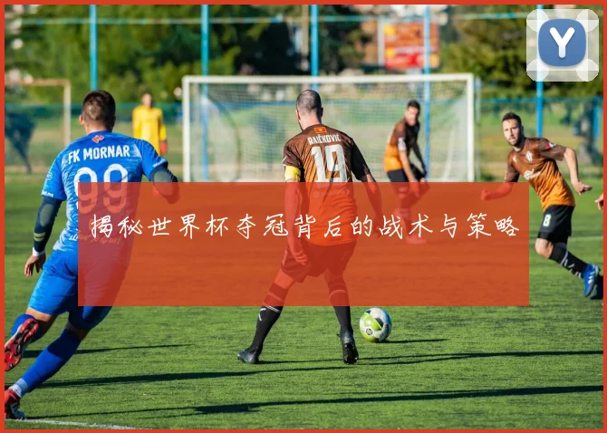 揭秘世界杯夺冠背后的战术与策略